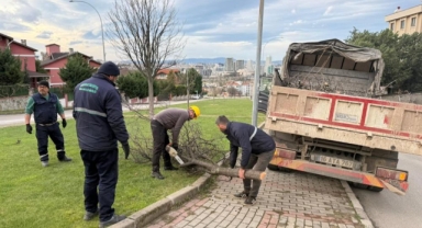 Şiddetli lodosun devirdiği ağaçlara anında müdahale
