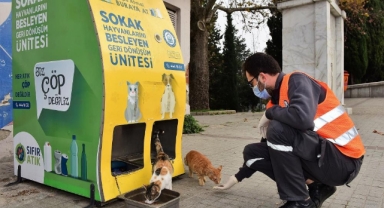 Yıldırım Belediyesi'nden sokak hayvanlarına sıcak yuva
