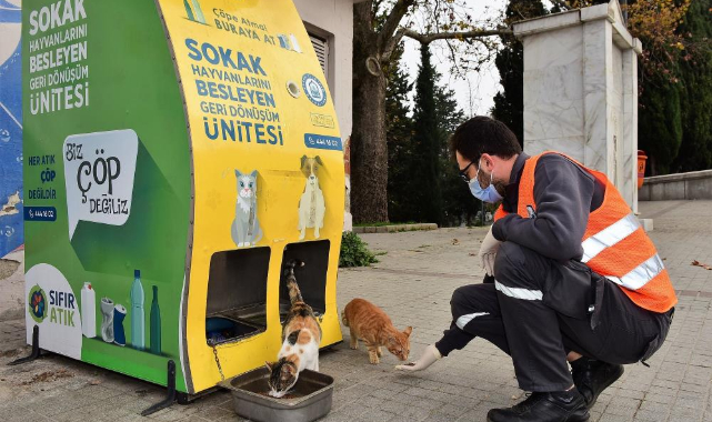 Yıldırım Belediyesi'nden sokak hayvanlarına sıcak yuva