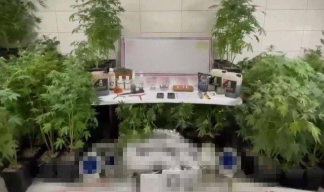 Jandarmadan uyuşturucu operasyonu: Evde üretim düzeneği kurmuş