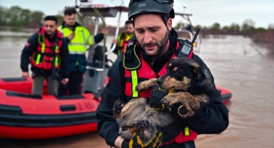 Sular altında kalan bağ evinde mahsur kalan iki köpeği belediye ekipleri kurtardı