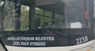 Bursa’da Halk Otobüsü Şoförü Tacizi İddiası: Muhtarın Kızı Yaşadıklarını Anlattı