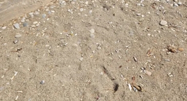 Plajlarda sigara yasağı yarın başlıyor: İlk kez Antalya'da uygulanacak