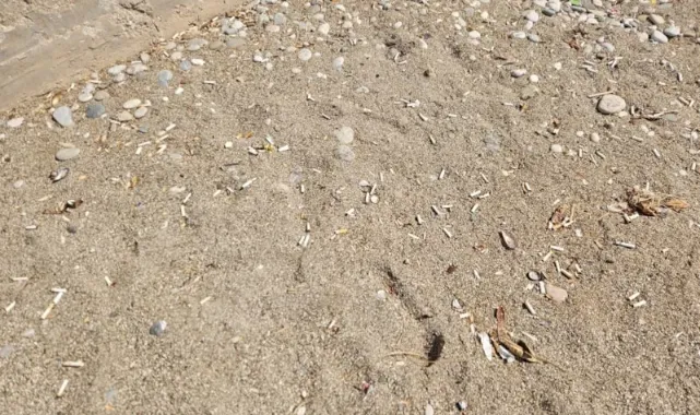 Plajlarda sigara yasağı yarın başlıyor: İlk kez Antalya'da uygulanacak