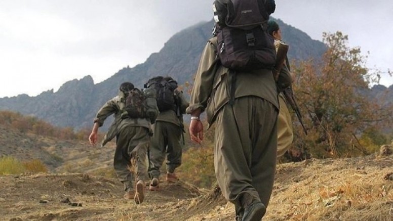 3 PKK/YPG'li terörist etkisiz hale getirildi!