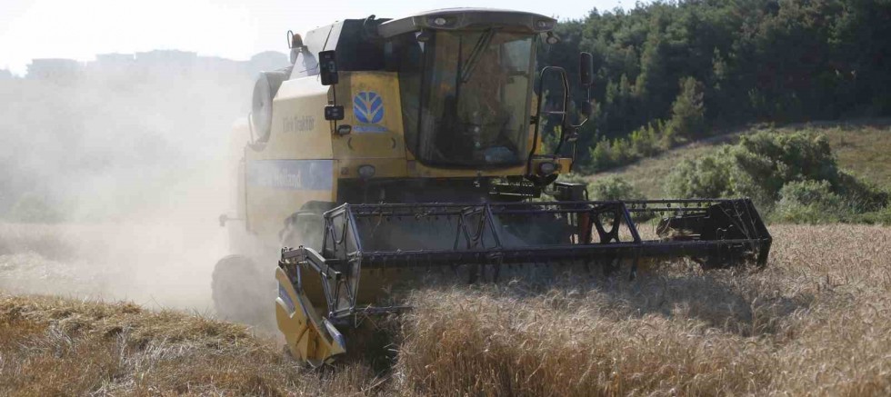 Bakan duyurdu! Hesaplarınızı kontrol edin paralar bugün yatıyor