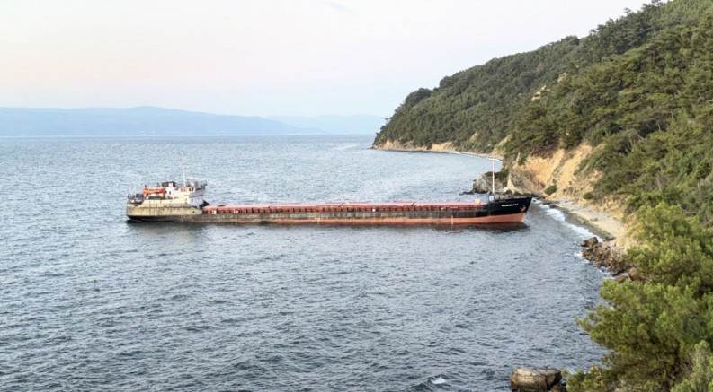 Bursa'da karaya oturan kargo gemisi kurtarıldı