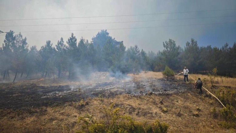 Bursa'daki orman yangını kontrol altına alındı
