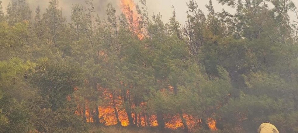Orman yangınlarıyla ilgili 7 kişi gözaltına alındı, 2 kişi tutuklandı