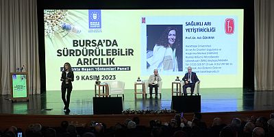 Arıcılıkta başarı yöntemleri